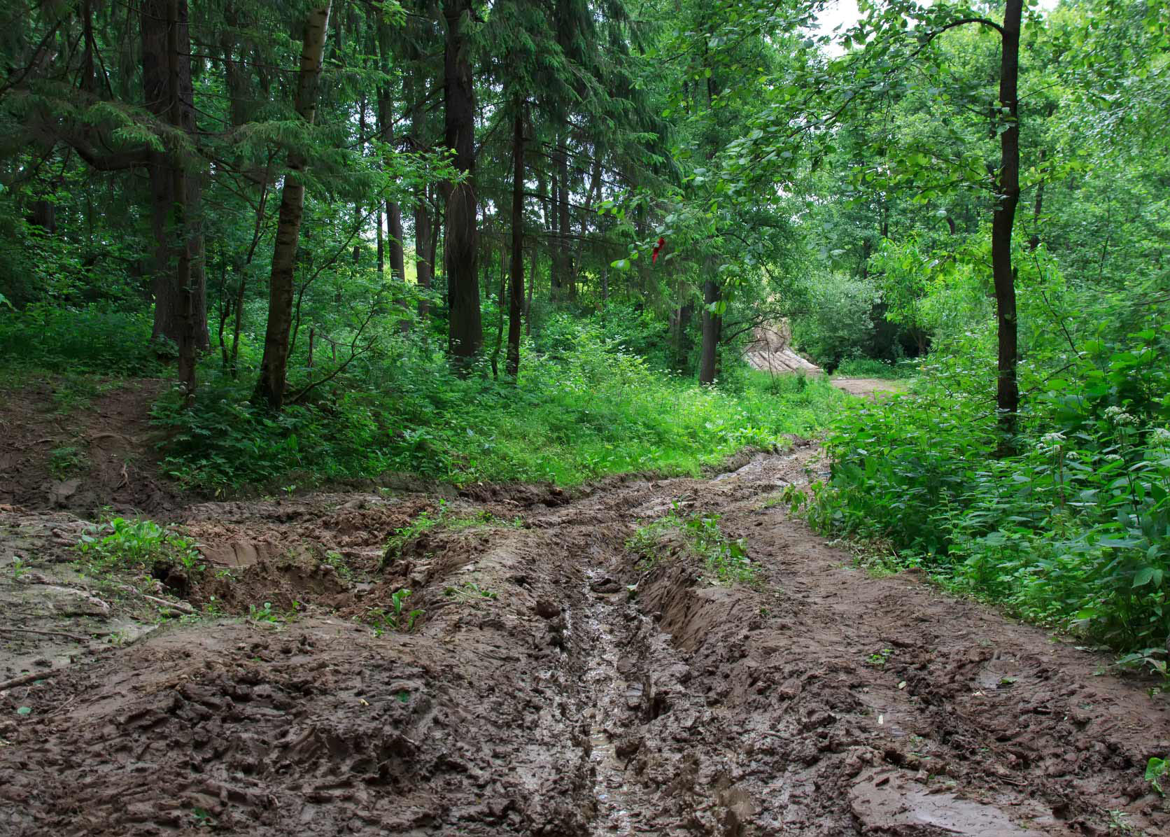 imprezy integracyjne Zakopane,offroad Zakopane,quady Zakopane,skutery śnieżne Zakopane